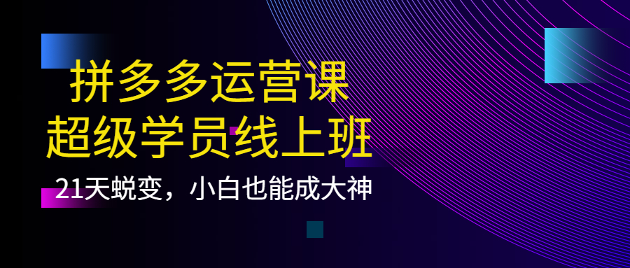 拼多多运营课：超级学员线上班，21天蜕变，小白也能成大神网创吧-网创项目资源站-副业项目-创业项目-搞钱项目恒杨云站