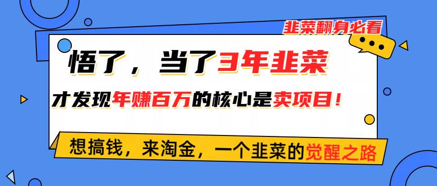 悟了，当了3年韭菜，才发现网赚圈年赚100万的核心是卖项目，含泪分享！网创吧-网创项目资源站-副业项目-创业项目-搞钱项目恒杨云站