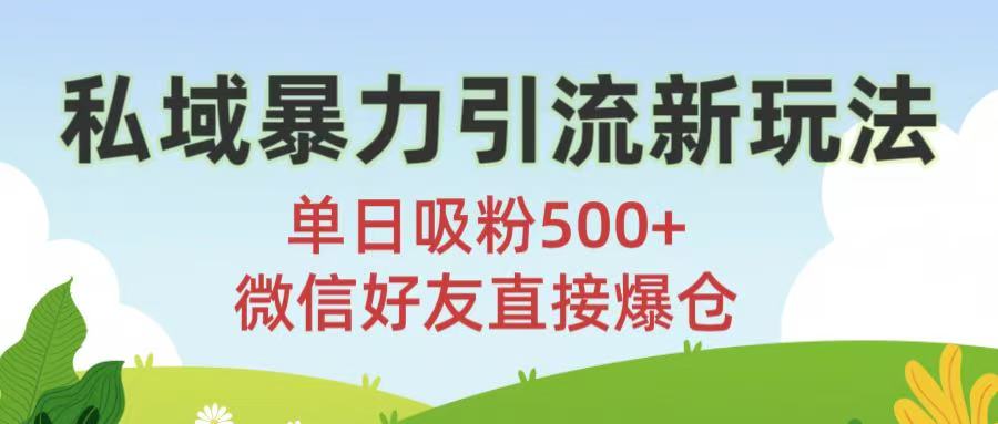 私域暴力引流新玩法!单日吸粉500+，微信好友直接爆仓网创吧-网创项目资源站-副业项目-创业项目-搞钱项目恒杨云站