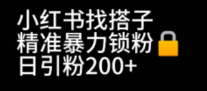 小红书找搭子暴力精准锁粉+引流日引200+精准粉网创吧-网创项目资源站-副业项目-创业项目-搞钱项目恒杨云站