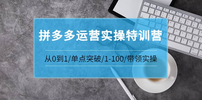 拼多多运营实操特训营：从0到1/单点突破/1-100/带领实操 价值2980元网创吧-网创项目资源站-副业项目-创业项目-搞钱项目恒杨云站