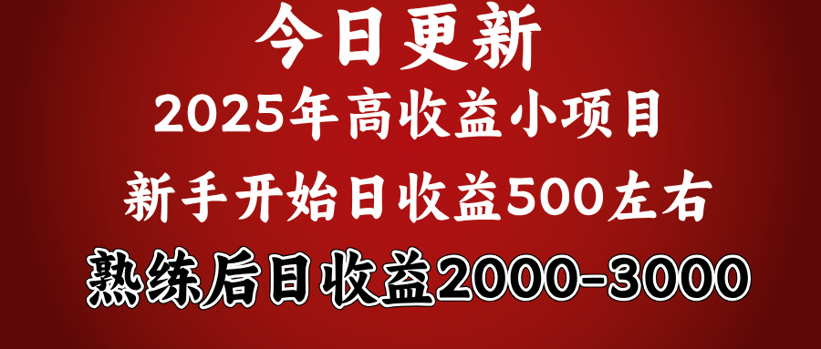 好项目一眼就能看出来，日收益1000，长久可做，2025拼的就是我比你勤奋网创吧-网创项目资源站-副业项目-创业项目-搞钱项目恒杨云站