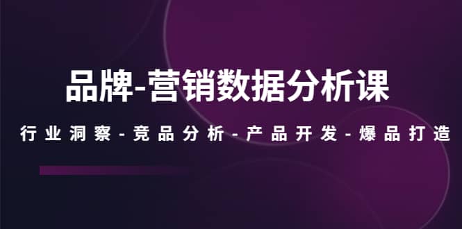 品牌-营销数据分析课，行业洞察-竞品分析-产品开发-爆品打造网创吧-网创项目资源站-副业项目-创业项目-搞钱项目恒杨云站