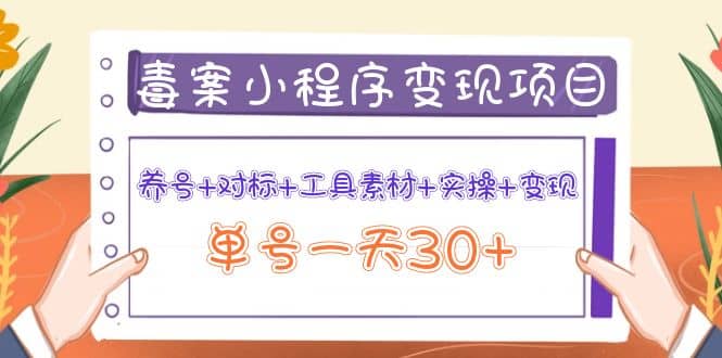 毒案小程序变现项目：养号+对标+工具素材+实操+变现网创吧-网创项目资源站-副业项目-创业项目-搞钱项目恒杨云站