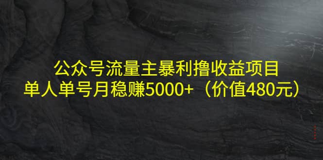 公众号流量主暴利撸收益项目，单人单号月稳赚5000+（价值480元）网创吧-网创项目资源站-副业项目-创业项目-搞钱项目恒杨云站