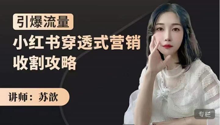 小红书穿透式营销收割攻略，引爆流量，助你玩转小红书网创吧-网创项目资源站-副业项目-创业项目-搞钱项目恒杨云站