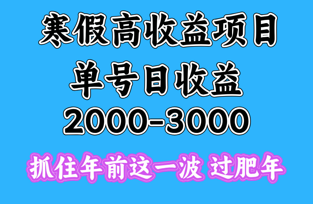 寒假期间一天收益2000-3000+，抓住年前这一波网创吧-网创项目资源站-副业项目-创业项目-搞钱项目恒杨云站