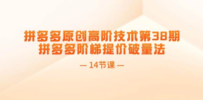 拼多多原创高阶技术第38期，拼多多阶梯提价破量法（14节课）网创吧-网创项目资源站-副业项目-创业项目-搞钱项目恒杨云站