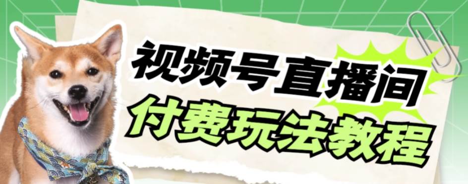 视频号美女付费无人直播，轻松日入500+【详细玩网创吧-网创项目资源站-副业项目-创业项目-搞钱项目恒杨云站