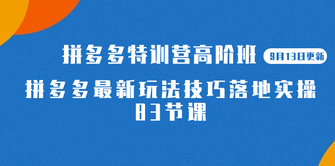 2023拼多多·特训营高阶班【9月13日更新】拼多多最新玩法技巧落地实操-83节网创吧-网创项目资源站-副业项目-创业项目-搞钱项目恒杨云站