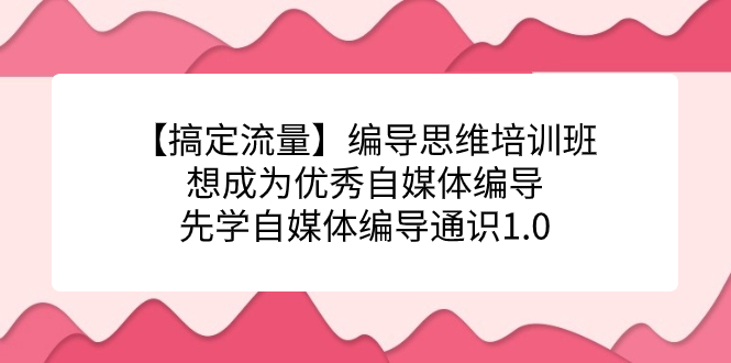 【搞定流量】编导思维培训班，想成为优秀自媒体编导先学自媒体编导通识1.0网创吧-网创项目资源站-副业项目-创业项目-搞钱项目恒杨云站