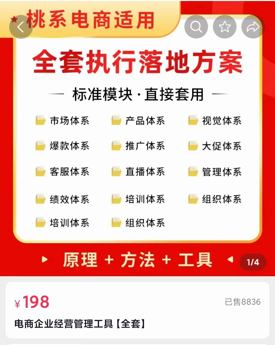 外面卖198·电商企业经营管理工具：全套执行落地方案 标准模块·直接套用网创吧-网创项目资源站-副业项目-创业项目-搞钱项目恒杨云站