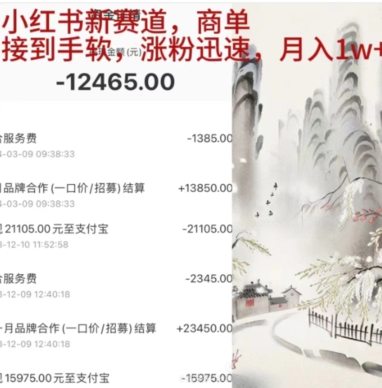 小红书新赛道，商单接到手软，涨粉迅速，一个月1w+网创吧-网创项目资源站-副业项目-创业项目-搞钱项目恒杨云站