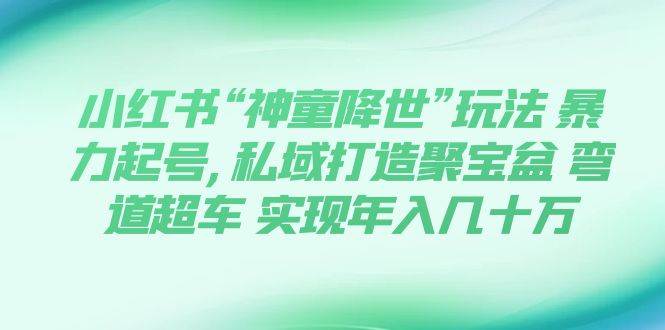 小红书“神童降世”玩法 暴力起号,私域打造聚宝盆 弯道超车 实现年入几十万网创吧-网创项目资源站-副业项目-创业项目-搞钱项目恒杨云站