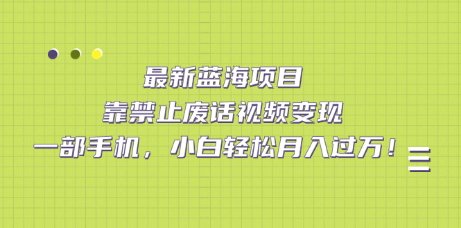最新蓝海项目，靠禁止废话视频变现，一部手机，小白轻松月入过万！网创吧-网创项目资源站-副业项目-创业项目-搞钱项目恒杨云站