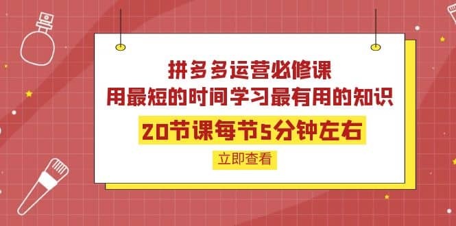 拼多多运营必修课：20节课每节5分钟左右，用最短的时间学习最有用的知识网创吧-网创项目资源站-副业项目-创业项目-搞钱项目恒杨云站