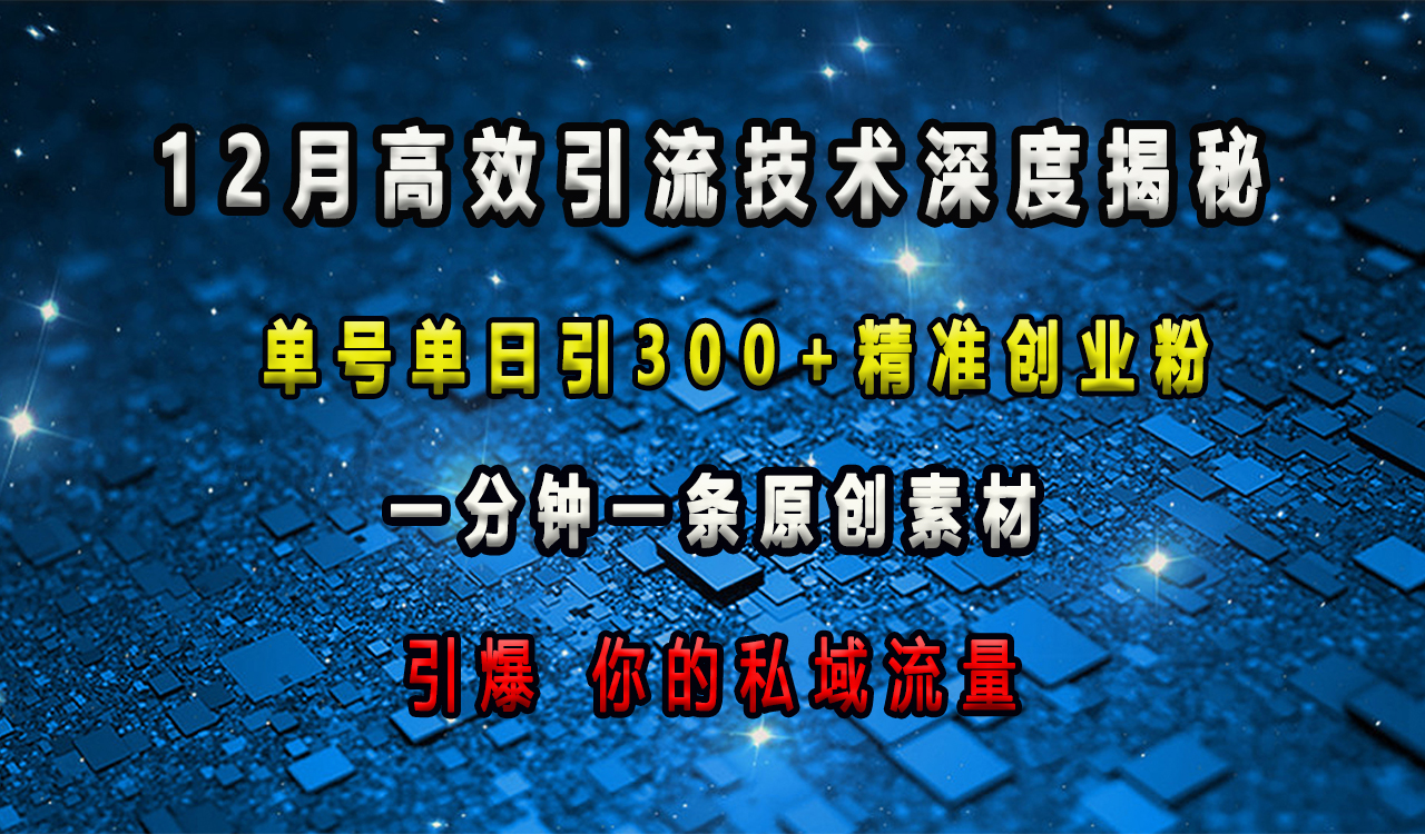 12月高效引流技术深度揭秘 ，单号单日引300+精准创业粉，一分钟一条原创素材，引爆你的私域流量网创吧-网创项目资源站-副业项目-创业项目-搞钱项目恒杨云站
