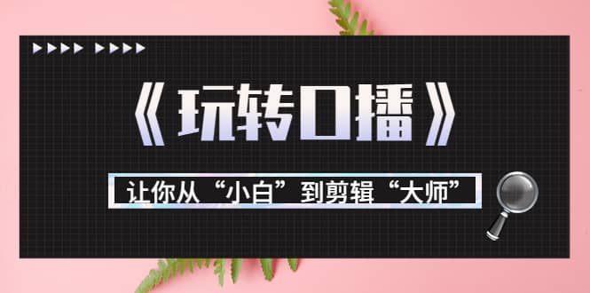 月营业额700万+大佬教您《玩转口播》让你从“小白”到剪辑“大师”网创吧-网创项目资源站-副业项目-创业项目-搞钱项目恒杨云站