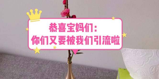 恭喜宝妈们：你们又要被我们引流了（教程+222g资料）网创吧-网创项目资源站-副业项目-创业项目-搞钱项目恒杨云站