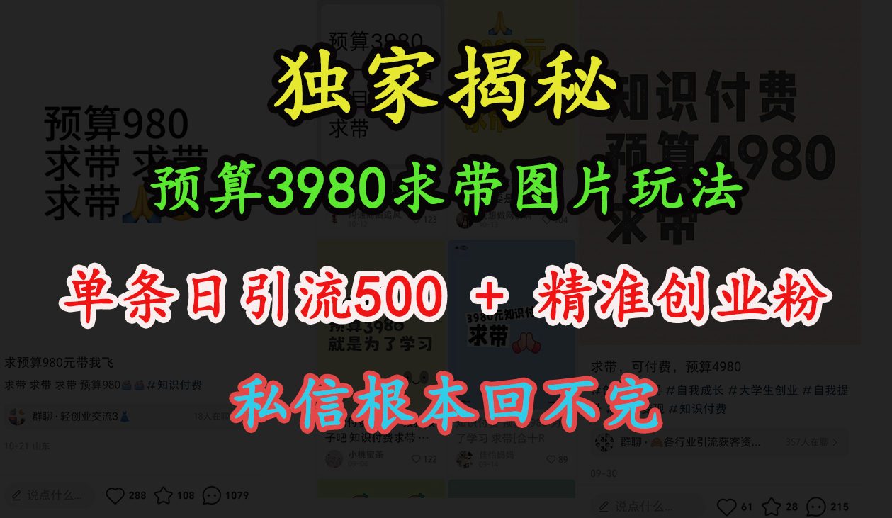 “小红书”预算3980求带 图片玩法，单条日引流500+精准创业粉，私信根本回不完网创吧-网创项目资源站-副业项目-创业项目-搞钱项目恒杨云站