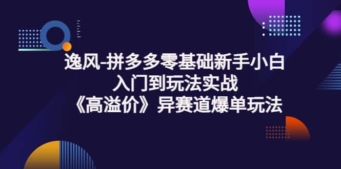 拼多多零基础新手小白入门到玩法实战《高溢价》异赛道爆单玩法实操课网创吧-网创项目资源站-副业项目-创业项目-搞钱项目恒杨云站