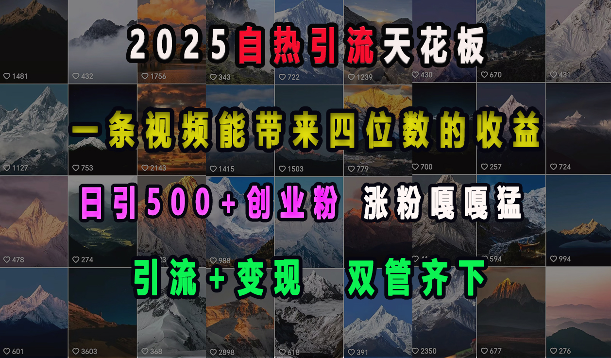 2025自热引流天花板，一条视频能带来四位数的收益，引流+变现双管齐下，日引500+创业粉，涨粉嘎嘎猛网创吧-网创项目资源站-副业项目-创业项目-搞钱项目恒杨云站