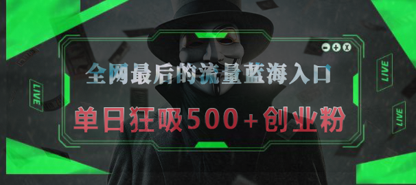 全网最后的流量蓝海入口，半小时引流50+创业粉，单日狂吸500+创业粉网创吧-网创项目资源站-副业项目-创业项目-搞钱项目恒杨云站