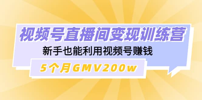 视频号直播间变现训练营网创吧-网创项目资源站-副业项目-创业项目-搞钱项目恒杨云站