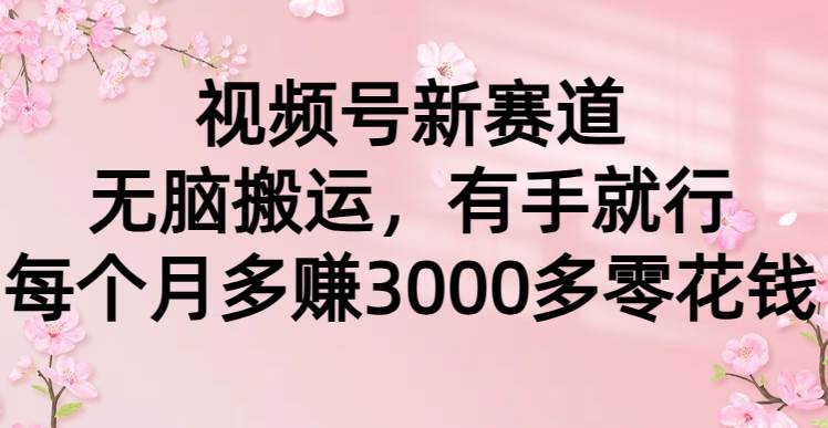 视频号新赛道，无脑搬运，有手就行，每个月多赚3000多零花钱网创吧-网创项目资源站-副业项目-创业项目-搞钱项目恒杨云站