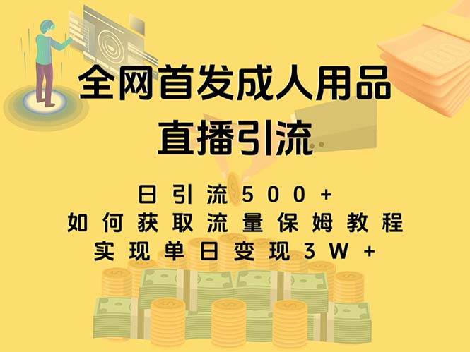 最新全网独创首发，成人用品直播引流获客暴力玩法，单日变现3w保姆级教程网创吧-网创项目资源站-副业项目-创业项目-搞钱项目恒杨云站