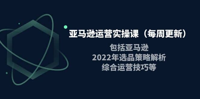 亚马逊运营实操课（每周更新）包括亚马逊2022选品策略解析，综合运营技巧等网创吧-网创项目资源站-副业项目-创业项目-搞钱项目恒杨云站