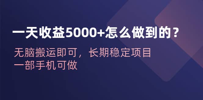 一天收益5000+怎么做到的？无脑搬运即可，长期稳定项目，一部手机可做网创吧-网创项目资源站-副业项目-创业项目-搞钱项目恒杨云站