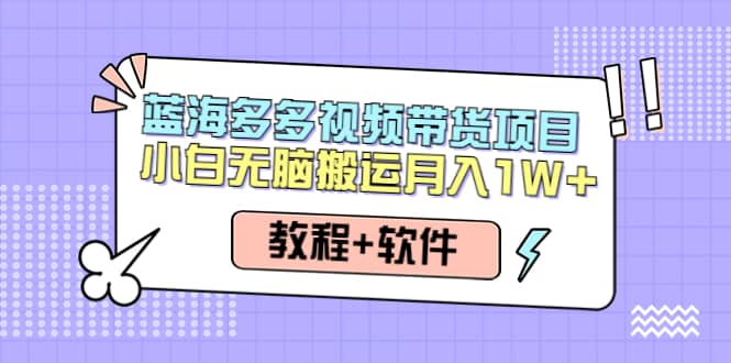 人人都能操作的蓝海多多视频带货项目 小白无脑搬运（教程+软件）网创吧-网创项目资源站-副业项目-创业项目-搞钱项目恒杨云站