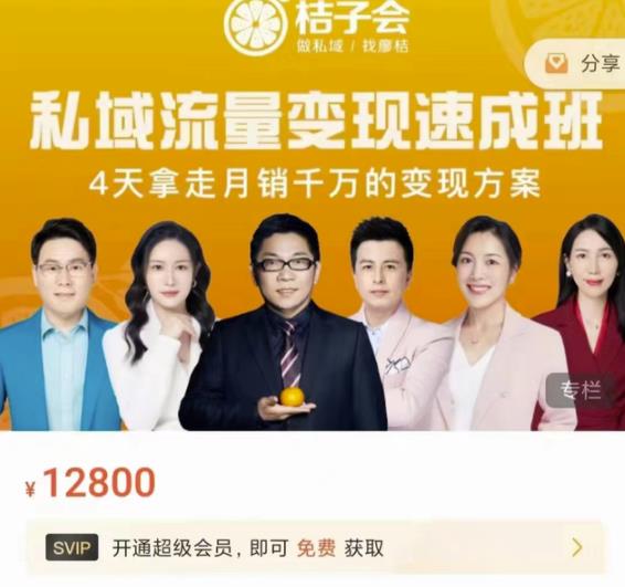 桔子会·私域流量变现速成班，4天拿走月销千万的变现方案 价值12800元网创吧-网创项目资源站-副业项目-创业项目-搞钱项目恒杨云站