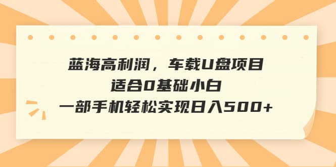 蓝海高利润，车载U盘项目，适合0基础小白，一部手机轻松实现日入500+网创吧-网创项目资源站-副业项目-创业项目-搞钱项目恒杨云站