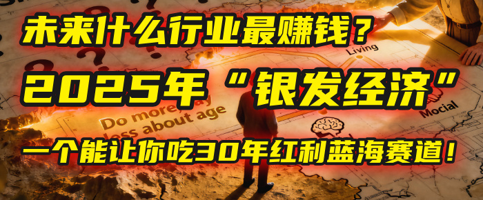 未来什么行业最赚钱？马哥揭秘2025年“银发经济”：一个能让你吃30年红利的蓝海赛道！网创吧-网创项目资源站-副业项目-创业项目-搞钱项目恒杨云站