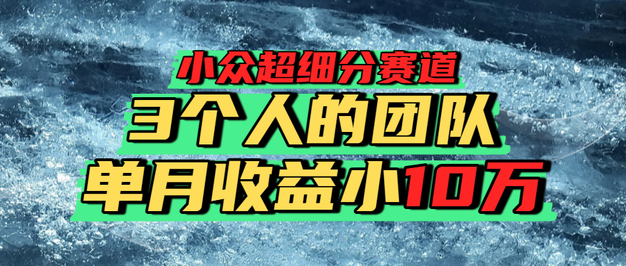 小众超细分赛道，一年百万利润的盘子！网创吧-网创项目资源站-副业项目-创业项目-搞钱项目恒杨云站