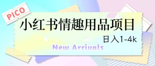最新小红书情趣用品项目，日入1-4k网创吧-网创项目资源站-副业项目-创业项目-搞钱项目恒杨云站