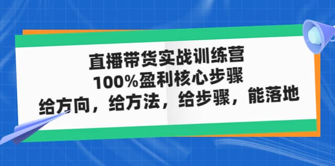 直播带货实战训练营：100%盈利核心步骤，给方向，给方法，给步骤，能落地网创吧-网创项目资源站-副业项目-创业项目-搞钱项目恒杨云站