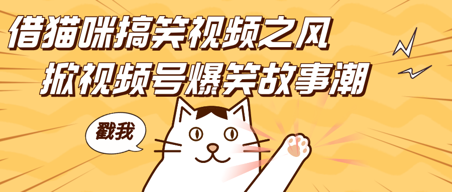 借猫咪搞笑视频之风,掀视频号爆笑故事潮,轻松日赚四位数,开启无门槛赚钱新体验!网创吧-网创项目资源站-副业项目-创业项目-搞钱项目恒杨云站