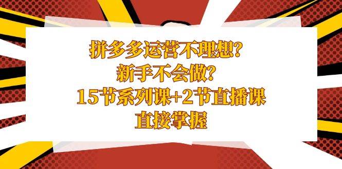 拼多多运营不理想？新手不会做？15节系列课+2节直播课，直接掌握网创吧-网创项目资源站-副业项目-创业项目-搞钱项目恒杨云站