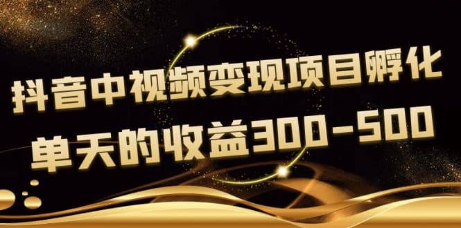 黄岛主《抖音中视频变现项目孵化》单天的收益300-500 操作简单粗暴网创吧-网创项目资源站-副业项目-创业项目-搞钱项目恒杨云站