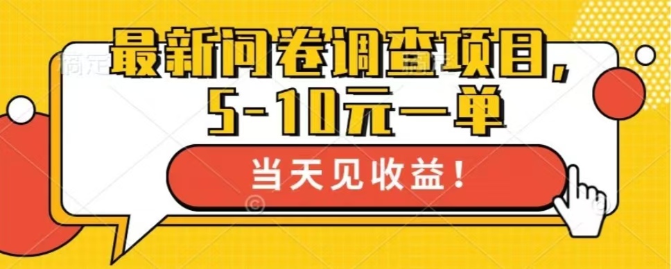 最新问卷调查项目，共12个平台，单日零撸100＋网创吧-网创项目资源站-副业项目-创业项目-搞钱项目恒杨云站