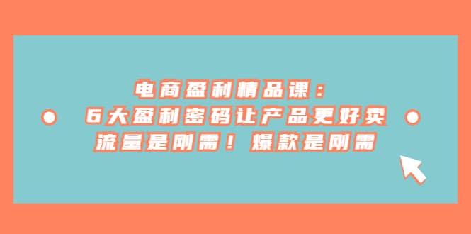 电商 盈利精品课：6大盈利 密码让产品更好卖，流量是刚需！爆款是刚需网创吧-网创项目资源站-副业项目-创业项目-搞钱项目恒杨云站