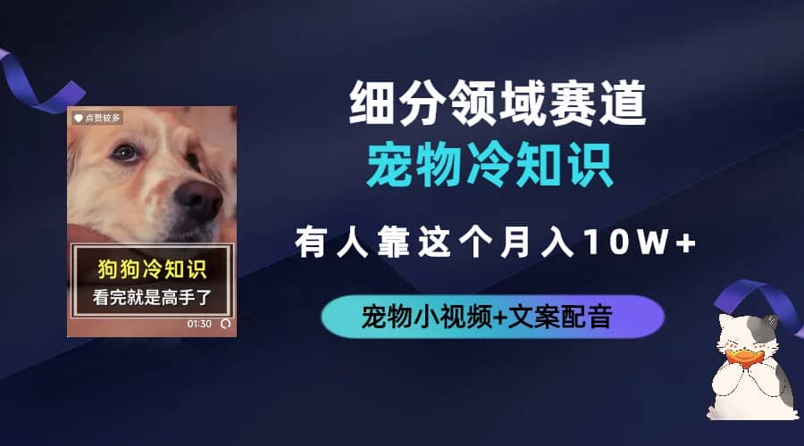 不起眼的抖音细分赛道-宠物冷知识，一段宠物视频配文案，有人靠这个月入10w网创吧-网创项目资源站-副业项目-创业项目-搞钱项目恒杨云站