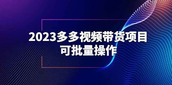 2023多多视频带货项目，可批量操作【保姆级教学】网创吧-网创项目资源站-副业项目-创业项目-搞钱项目恒杨云站