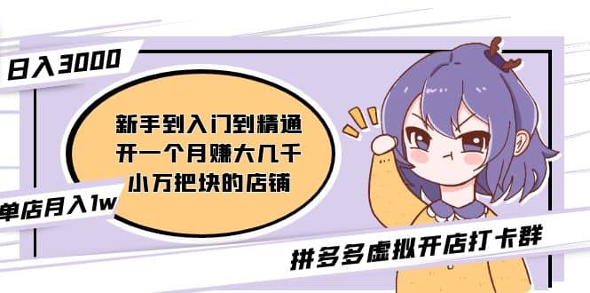 拼多多虚拟开店打卡群：新手到入门到精通网创吧-网创项目资源站-副业项目-创业项目-搞钱项目恒杨云站