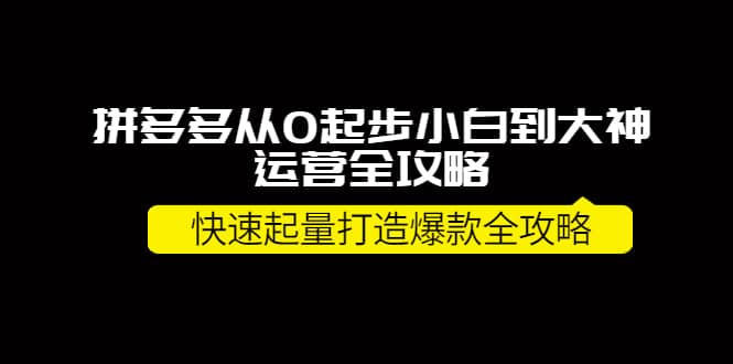 拼多多从0起步小白到大神运营全攻略网创吧-网创项目资源站-副业项目-创业项目-搞钱项目恒杨云站