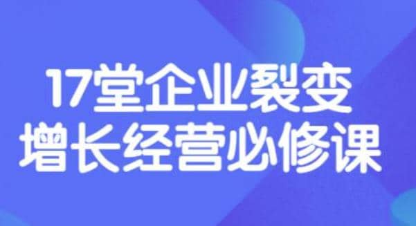 《盈利增长17堂必修课》企业裂变增长的经营智慧，带你了解增长的本质网创吧-网创项目资源站-副业项目-创业项目-搞钱项目恒杨云站