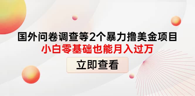 国外问卷调查等2个暴力撸美元项目，小白零基础也能月入过万网创吧-网创项目资源站-副业项目-创业项目-搞钱项目恒杨云站